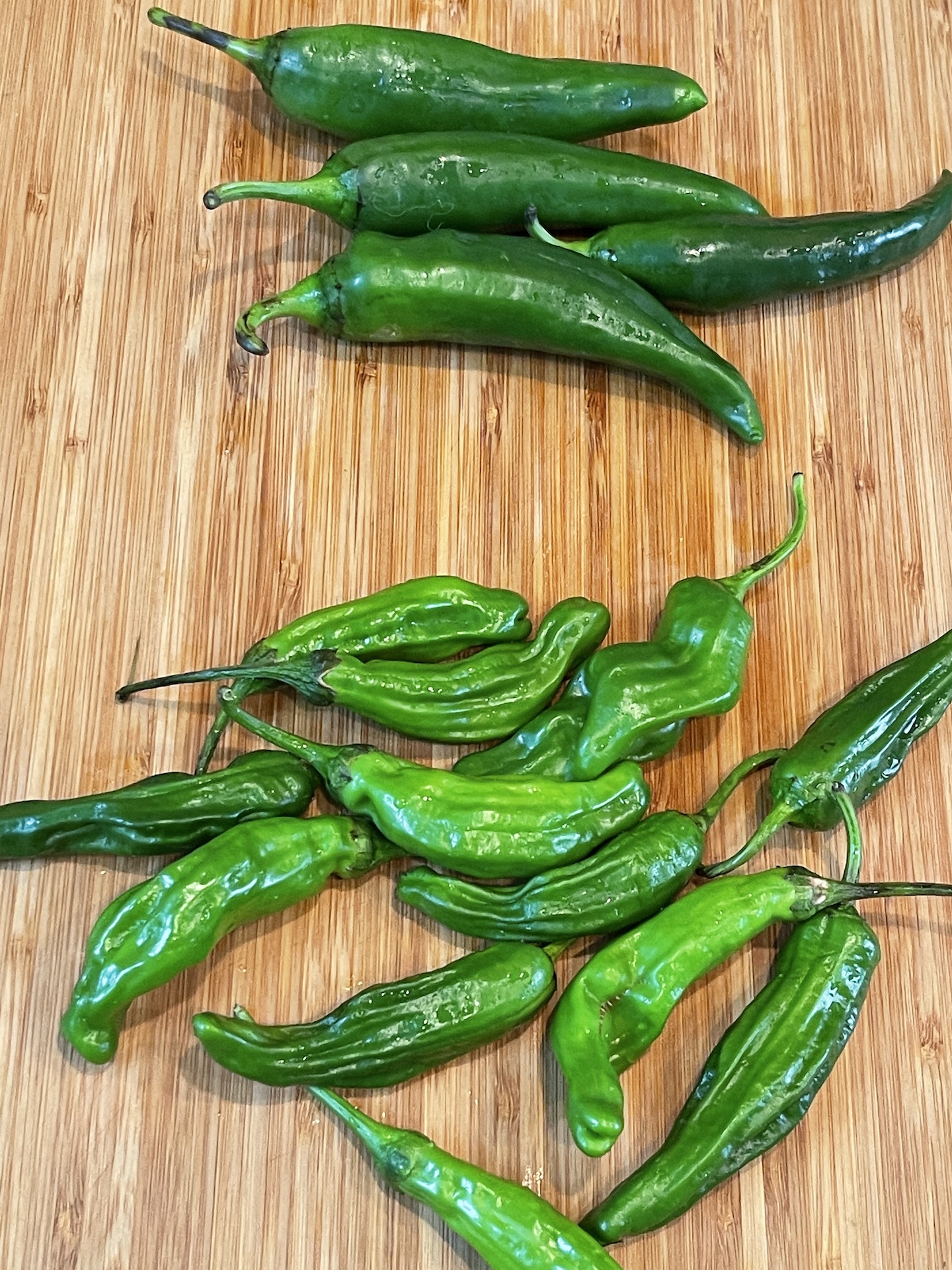 StirFried Anchovies with Peppers LOVE KOREAN FOOD